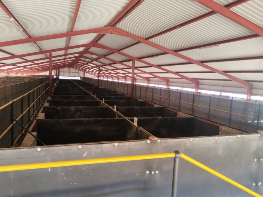 4 Bedroom Property for Sale in Kimberley Rural Northern Cape